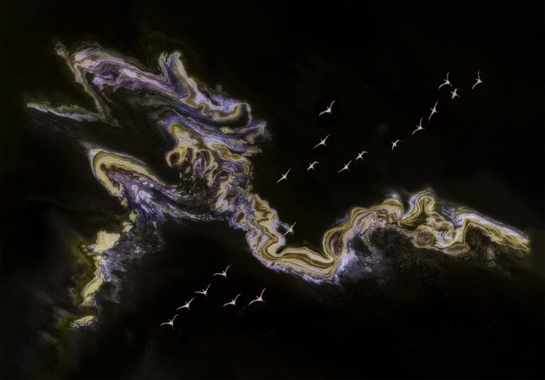 Luo Shaozhen - 《神奇变幻麦迦底湖-Wonderful-Lake-Magadi》-罗少珍摄